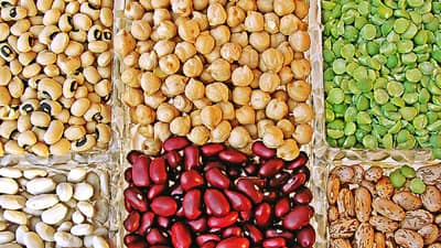 Agricultural : उत्पादन वाढीसाठी कडधान्य, तेलबियांना हवा हमीभावाचा आधार,काय आहे सरकारची भूमिका?