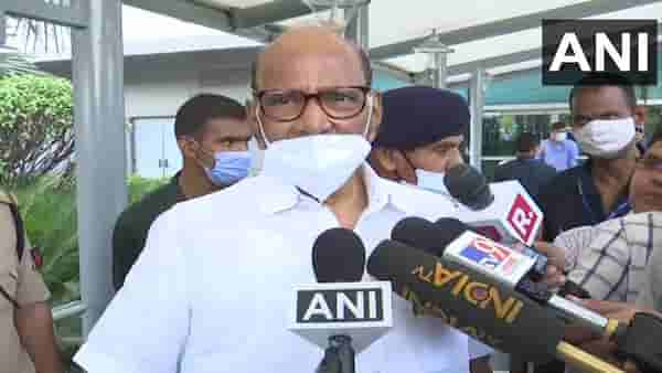 Sharad Pawar : उद्धव ठाकरे सरकार चालवू शकतात हे तेव्हाच स्पष्ट होईल; शरद पवार यांचं मोठं विधान