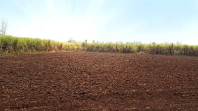 Farmer : शेतकऱ्यांनो सावधान, जमिन खरेदी-विक्रीमध्ये होऊ शकते फसवणूक..! बातमी वाचा अन् धोका टाळा