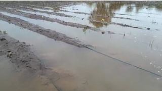 Kharif Season : पेरण्या लांबल्या, चिंता नाही, तीन बाबींचे नियोजन करा अन् भरघोस उत्पादन मिळवा