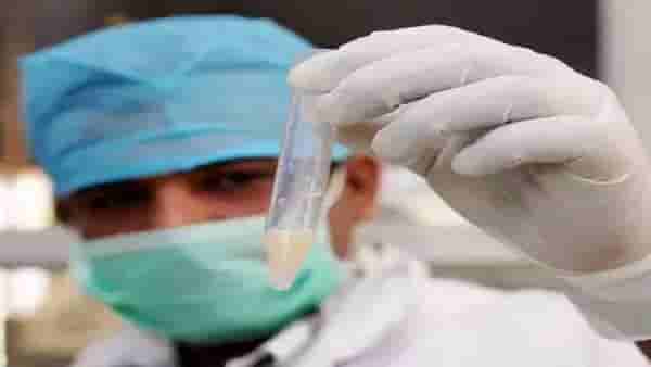 Low Sperm Count: शुक्राणुंची कमी झालेली संख्या म्हणजेच ‘वंधत्वा’ चा धोका... वेळीच व्हा सावध! काय आहेत कारणं आणि उपाय?