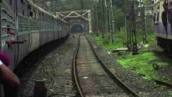 Thane: थोडक्यात मोठी रेल्वे दुर्घटना टळली! पारसिक बोगद्याजवळ रेल्वे रुळावर झाड कोसळलं, तितक्यात ट्रेन धडधडत आली...