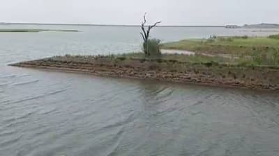 Nandurbar | नंदुरबारकरांवर पाणीकपातीचे संकट, दोन दिवसाआड पाणीपुरवठा होणार...