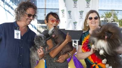 Worlds Ugliest Dog: शो क्युट! जगातलं सगळ्यात कुरूप कुत्रं पाहिलंत का? नाव चिहुआहुआ मिक्स, वय वर्षे 17