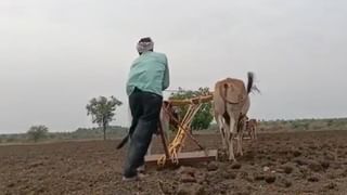 Washim : चाढ्यावर मूठ ठेवताय, कृषितज्ञांचा सल्ला वाचा अन् निर्णय घ्या, शेतकऱ्यांसाठी महत्वाची बातमी
