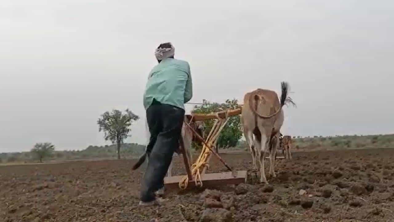 Kharif Season : पीकविमा 15 जुलैपासून, बीड पॅटर्न होणार का शिक्कामोर्तब..!