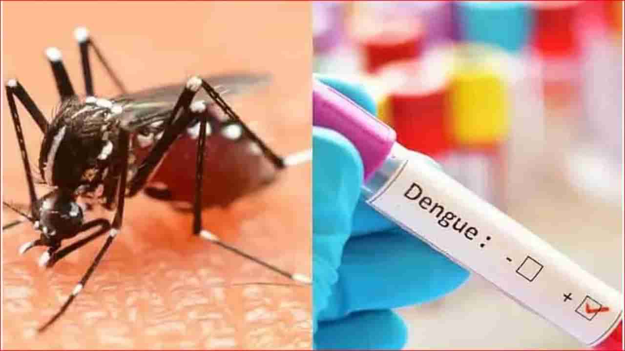 dengue : कोरोनानंतर आता मुंबईकरांवर आणखी एक संकट; डेंग्यूच्या रुग्णसंख्येत मोठी वाढ