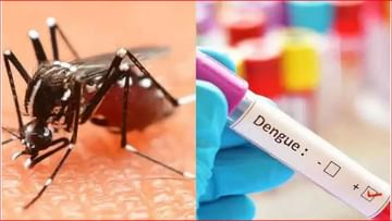 dengue : कोरोनानंतर आता मुंबईकरांवर आणखी एक संकट; डेंग्यूच्या रुग्णसंख्येत मोठी वाढ