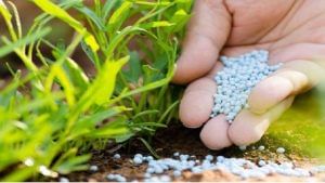 Organic Fertilizer : रासायनिक कंपन्यांनाच करवा लागणार सेंद्रिय खताचा पुरवठा, केंद्राच्या निर्णयाने बदलणार शेतजमिनीचा दर्जा