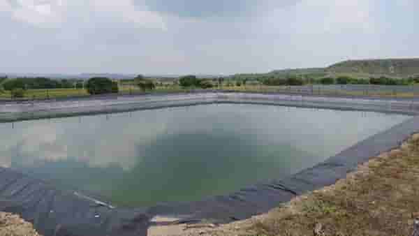 Agricultural : शेततळ्यासाठी 75 हजाराचे अनुदान, महाविकास आघाडी सरकारनेच अनुदनावर केला शिक्कामोर्तब
