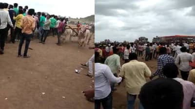 Video : खासदार प्रितम मुंडेंनी उद्घाटन केलेल्या बैलगाडा शर्यतीत दुर्घटना; दोन शाळकरी मुलं जखमी, घटनेचा व्हिडिओ व्हायरल