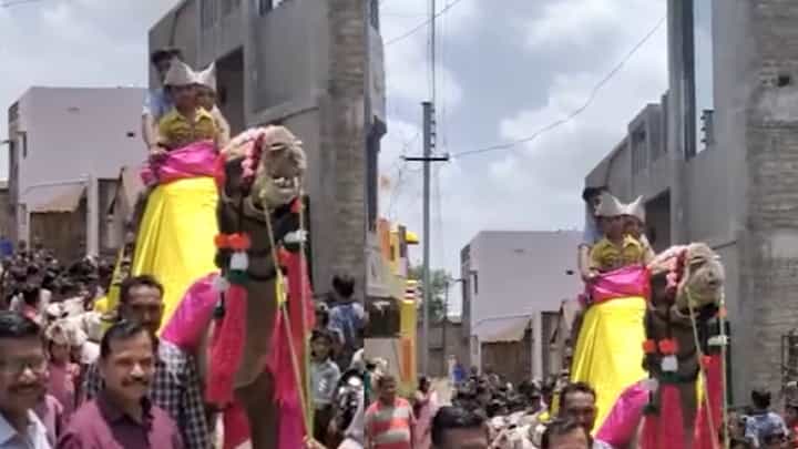 पोरं खुश! पहिलीच्या पोरांची उंटावरून मिरवणूक, विद्यार्थ्यांचं हटके स्वागत पोरं खुश! पहिलीच्या पोरांची उंटावरून मिरवणूक, विद्यार्थ्यांचं हटके स्वागत