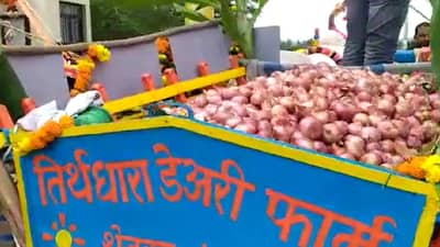 Organic Farm : दराचा वांदा असतानाही कांद्याचा रुबाब कायम, ढोल-ताशाच्या गजरात कांदा बाजारात