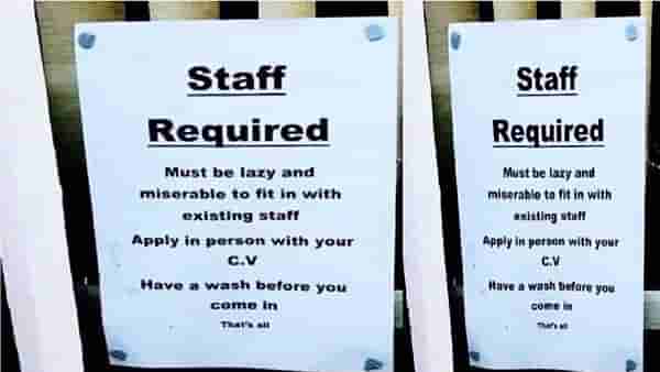 Job For Lazy People: आळशी आणि दु:खी लोकांसाठी नोकरीची सुवर्ण संधी; अट फक्त एकच, मुलाखतीला येताना अंघोळ करुन या