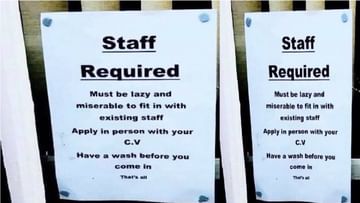 Job For Lazy People: आळशी आणि दु:खी लोकांसाठी नोकरीची सुवर्ण संधी; अट फक्त एकच, मुलाखतीला येताना अंघोळ करुन या