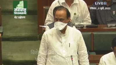 Maharashtra Assembly Session 2022 : आतापर्यंत जावई हट्ट पुरवलाय, आता सासऱ्यांकडील लोकांवर अन्याय करू नका; अजित पवारांचे चिमटे