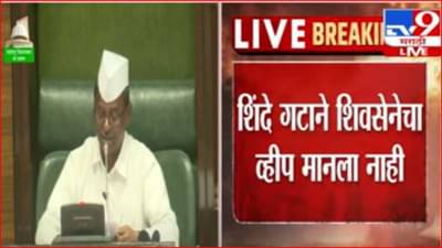 आधी शिवसेनेच्या व्हीपची झिरवळांकडून, नंतर शिंदे गटाच्या व्हीपची नार्वेकरांकडून दखल; विधानसभेत नेमकं काय घडलं?