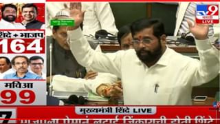 CM Eknath Shinde: कोण आहे सर्वात मोठा कलाकार? मुख्यमंत्र्यांनी कोणतं गुपीत सभागृहात केलं उघड? देवेंद्र फडणवीस यांनी का मारला डोक्यावर हात?