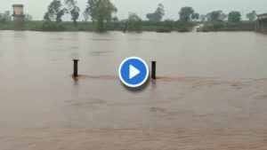 Kolhapur Rain Video : कोल्हापुरात मुसळधार! राजाराम बंधारा पाण्याखाली, पंचगंगा नदीच्या पाणी पातळीत वाढ