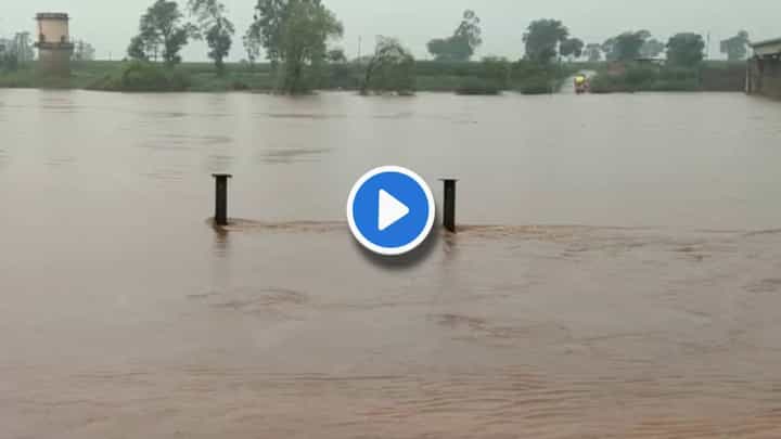 Kolhapur Rain Video : कोल्हापुरात मुसळधार! राजाराम बंधारा पाण्याखाली, पंचगंगा नदीच्या पाणी पातळीत वाढ Kolhapur Rain Video : कोल्हापुरात मुसळधार! राजाराम बंधारा पाण्याखाली, पंचगंगा नदीच्या पाणी पातळीत वाढ