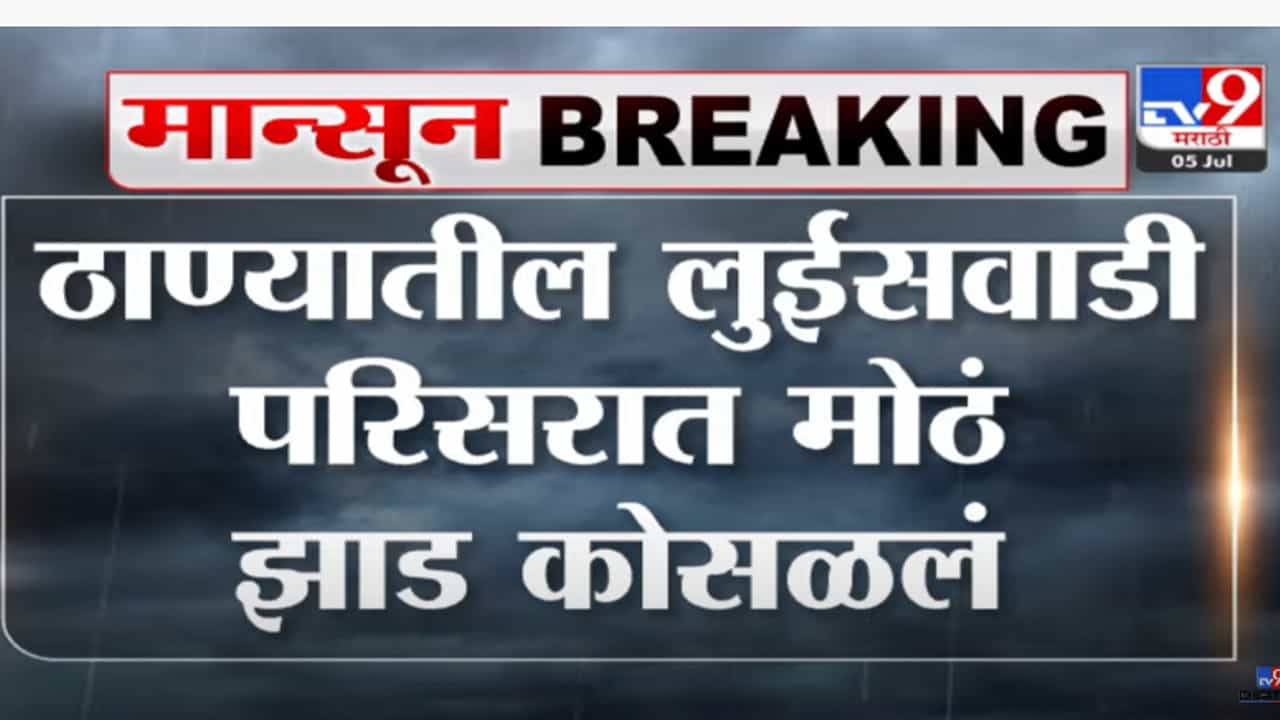 ठाण्यातील लुईसवाडी परिसरात मोठं झाड कोसळलं