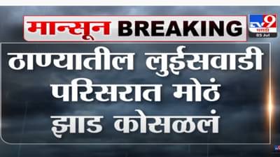 ठाण्यातील लुईसवाडी परिसरात मोठं झाड कोसळलं