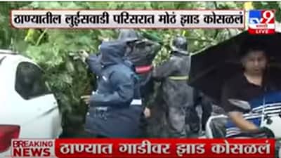 Thane Rain: ठाणे महापालिका अतिरिक्त आयुक्त थोडक्यात बचावले; कारवरच कोसळले झाड; कोणतीही जीवितहानी नाही