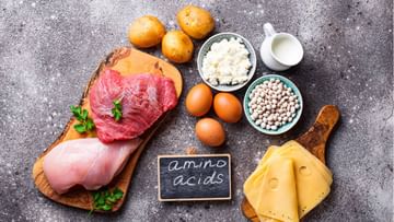Amino acid rich foods : उत्तम आरोग्यासाठी खूप महत्त्वाचे आहे ‘अमिनो अॅसिड’; त्याची कमतरता दूर करण्यासाठी ‘या’ पदार्थांचे करा सेवन