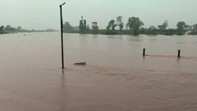 Kolhapur Rain : पंचगंगेची पाणी पातळी 27 फुटांवर, NDRF च्या 2 टीम दाखल; सतेज पाटलांकडून मदतीसाठी संपर्क क्रमांक जाहीर