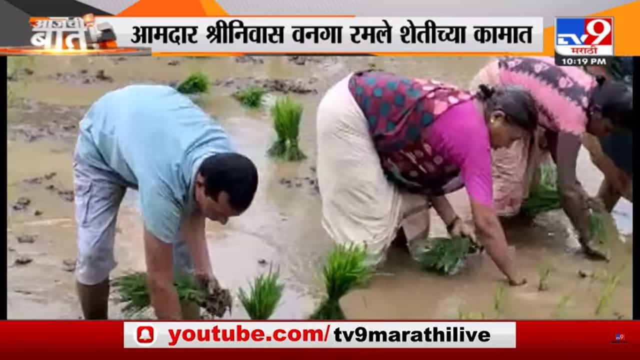 सुरत - गुवाहाटी - गोवा भ्रमण करून आता बंडखोर आमदार श्रीनिवास वनगा रमले शेतीच्या कामात