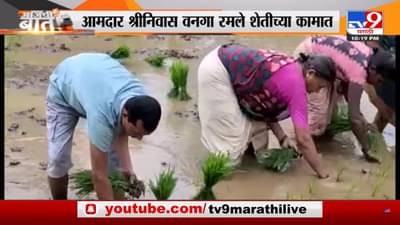 सुरत – गुवाहाटी – गोवा भ्रमण करून आता बंडखोर आमदार श्रीनिवास वनगा रमले शेतीच्या कामात