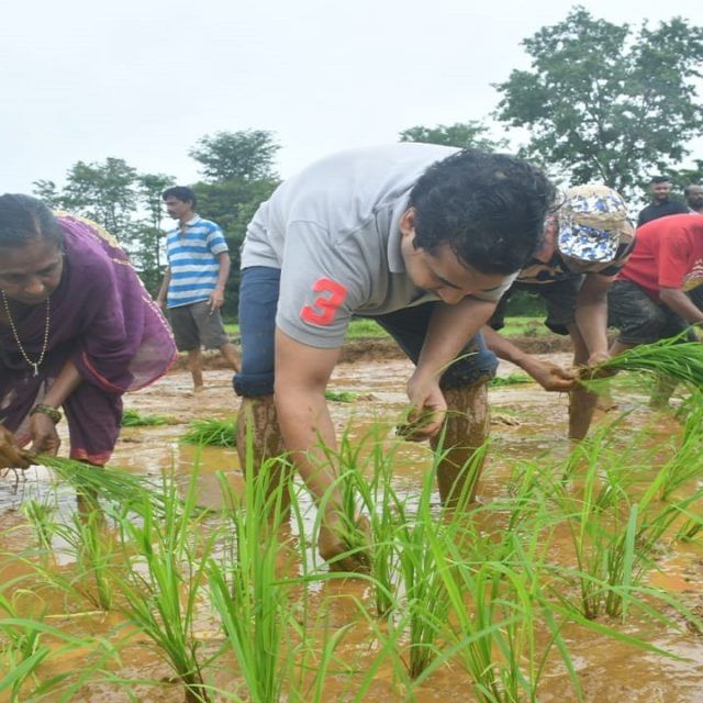 Nitesh Rane : राजकीय आखाड्यातून बाहेर पडत नितेश राणे थेट बांधावर, सहकाऱ्यांसोबत केली भात लावणी