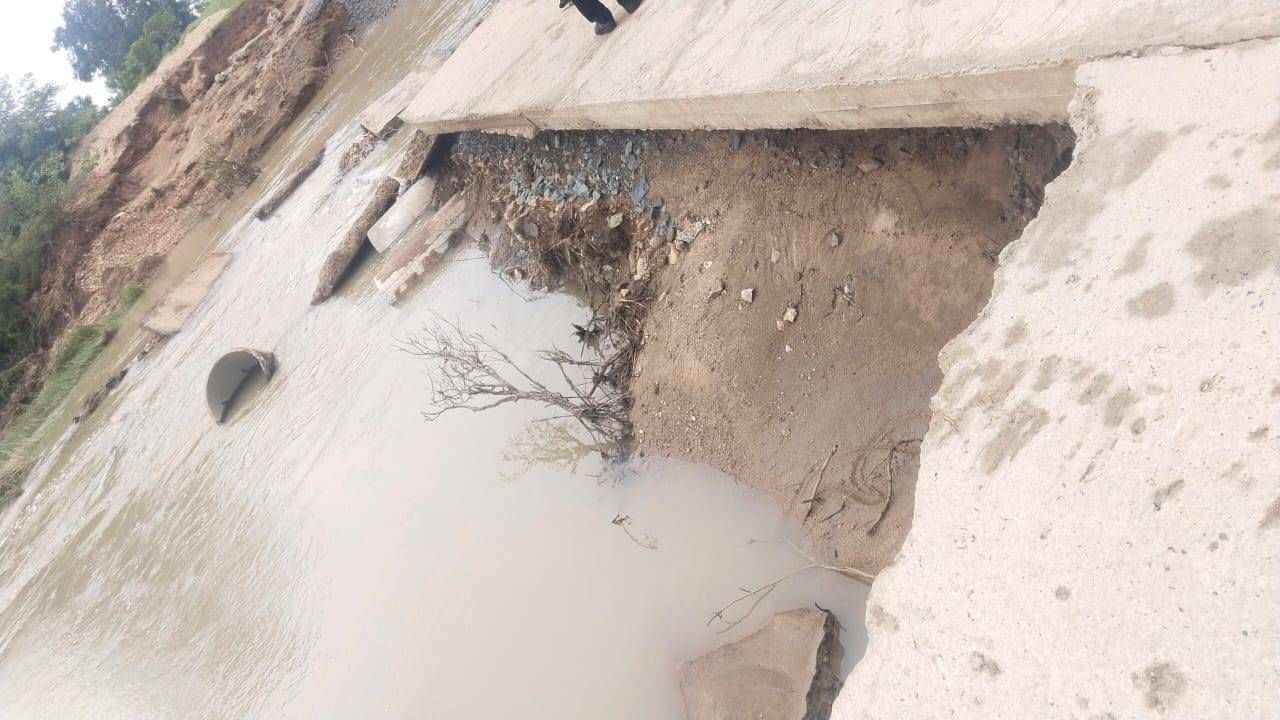 Vidarbha Rain : गोंदियात पूल तुटल्याने 16 गावातील वाहतूक बंद, बुलडाण्यात नाला वाहून गेला, तर अकोल्यात झेडपी शाळेला गळती