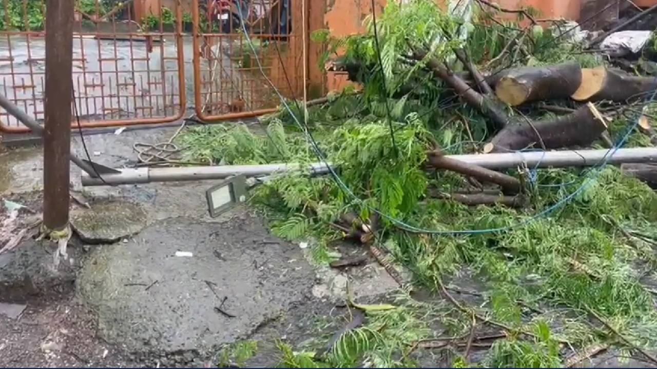 Ulhasnagar Pole Collapse : उल्हासनगरात विद्यार्थिनीच्या डोक्यावर विजेचा खांब कोसळला, दुर्घटनेत मुलगी गंभीर जखमी