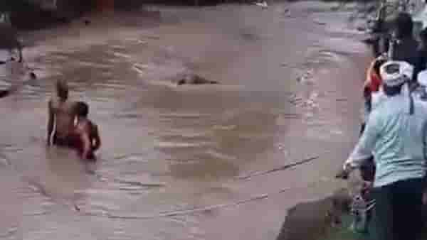 Buldhana : पुरात बैलाला जलसमाधी, ग्रामस्थांच्या प्रसंगावधानाने शेतकऱ्याचा वाचला जीव