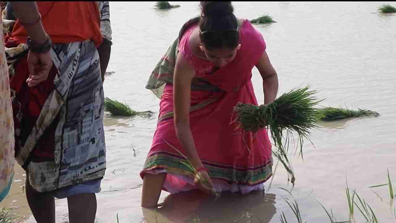 Ratan Raajputh: अभिनय सोडून शेतीच्या कामात रमली प्रसिद्ध अभिनेत्री; लालीच्या भूमिकेमुळे मिळाली लोकप्रियता