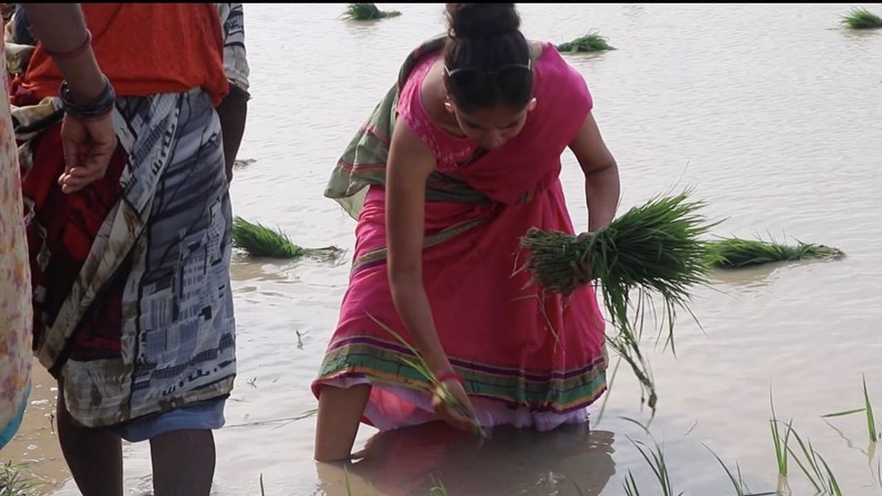 Ratan Raajputh: अभिनय सोडून शेतीच्या कामात रमली प्रसिद्ध अभिनेत्री; 'लाली'च्या भूमिकेमुळे मिळाली लोकप्रियता