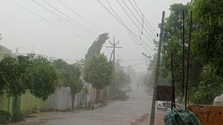 Rain : चित्र बदलतंय..! खरिपाला दिलासा, धरणाच्या पाणी क्षेत्रातही वाढ, गोसीखुर्द धरणाची धरणाची स्थिती काय?