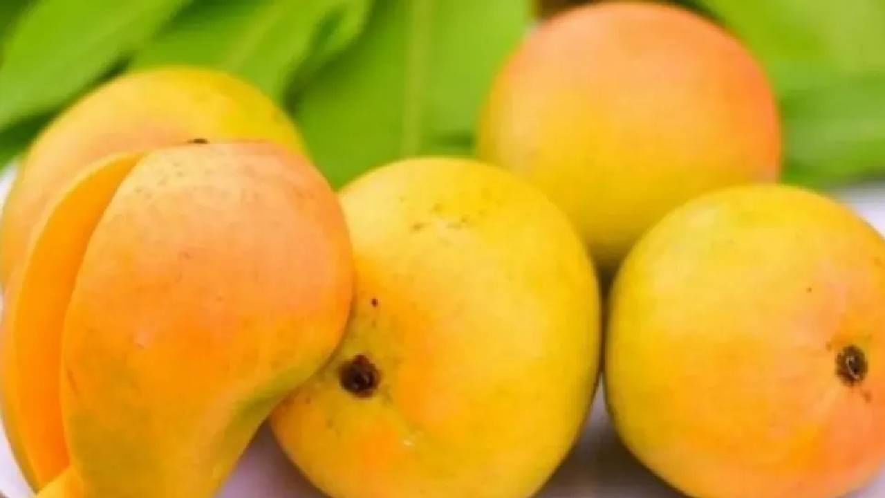 Side effects of mango: आंबा खायला आवडतो का? पण, खाण्यापूर्वी.. जाणून घ्या, त्याचे दुष्परिणाम!