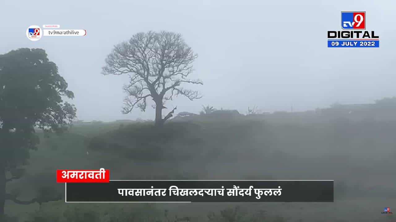 Chikhaldara: अहाहा! काय ती धुक्याची चादर, काय तो चिखलदरा, एकदम थंड!!