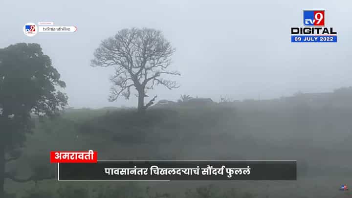 Chikhaldara: अहाहा! काय ती धुक्याची चादर, काय तो चिखलदरा, एकदम थंड!! Chikhaldara: अहाहा! काय ती धुक्याची चादर, काय तो चिखलदरा, एकदम थंड!!