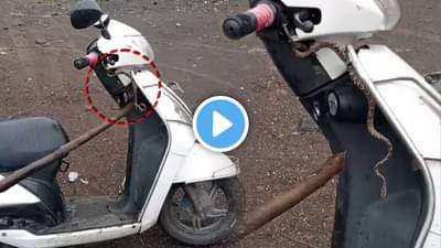 रिपरिप पाऊस, स्कुटी घेऊन बाहेर पडले.. 1Km गेल्यावर कळलं समोरच्या डिक्कीत साप... बीडमध्ये बाईकस्वाराचा थरकाप...
