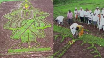 Pandharpur Wari 2022 : भात शेतीत रोपांच्या सहाय्याने साकारली विठ्ठल मूर्ती, वातुंडेतील बाळकृष्ण शिंदे यांची अशीही विठ्ठलभक्ती