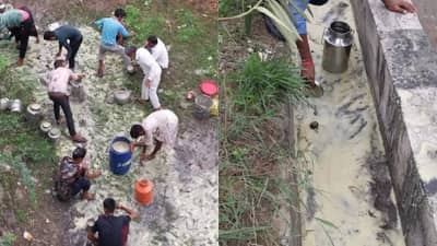 Viral: तूप घेऊन जाणारा टँकर उलटला, लोकांना जसं समजलं लोकं तसं पळत गेले, तूप गोळा करायला!