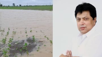 Wardha Rain Damage : पावसामुळे नुकसानीचे तातडीने पंचनामे करत अहवाल सादर करा, आमदार रणजित कांबळे यांचे प्रशासनाला निर्देश