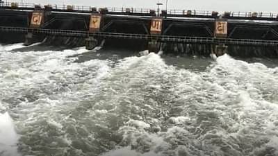 Nashik Rain Update : नाशिकच्या इगतपुरीमध्ये पावसाची जोरदार बरसात, 24 तासात 132 मिमी पावसाची नोंद