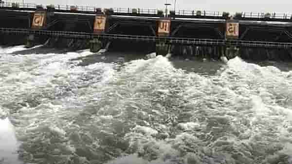 Nashik Rain Update : नाशिकच्या इगतपुरीमध्ये पावसाची जोरदार बरसात, 24 तासात 132 मिमी पावसाची नोंद