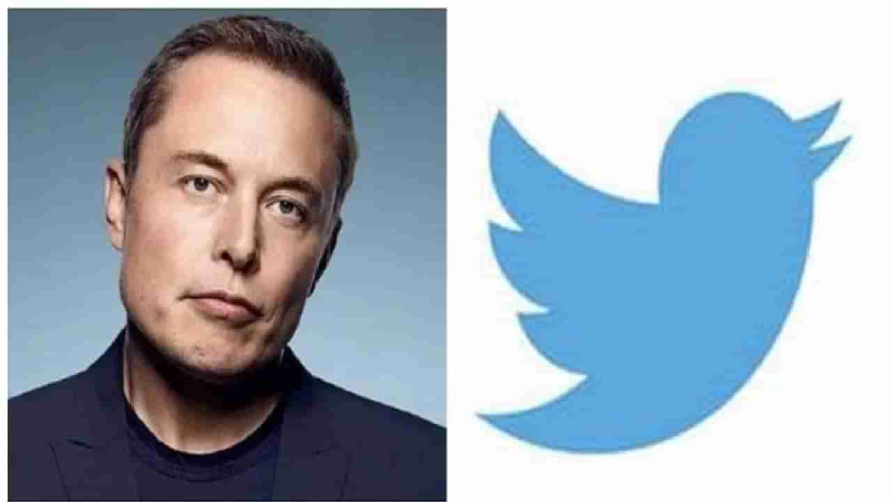 Elon Musk Twitter Deal : 44 बिलियन डॉलरची डील रद्द करणाऱ्या एलन मस्कना ट्विटर खेचणार कोर्टात