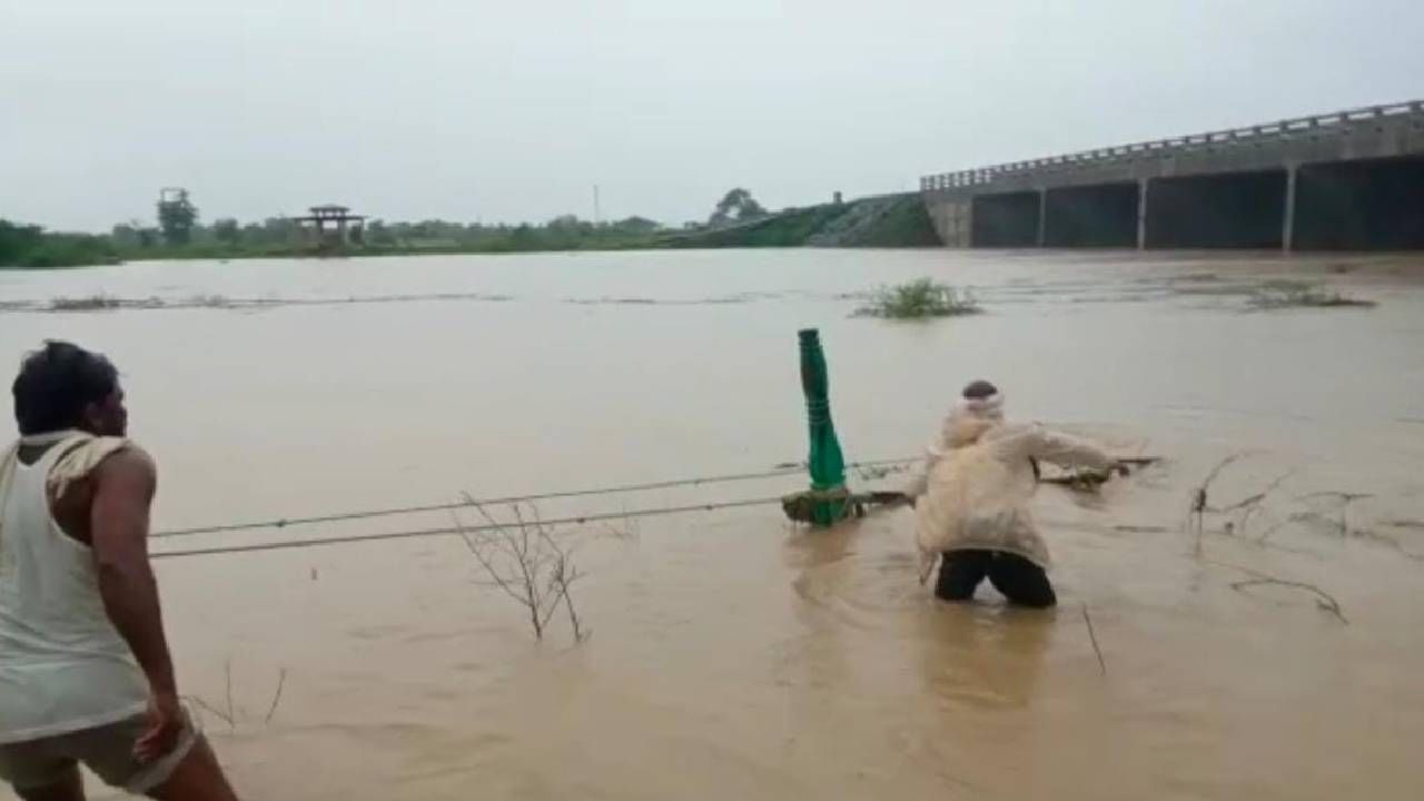 Wardha Flood : वर्ध्यातील यशोदा नदीच्या पुरात बैलबंडी गेली वाहून, जनावरांच्या शेपटीला पकडून 3 शेतकरी निघाले बाहेर