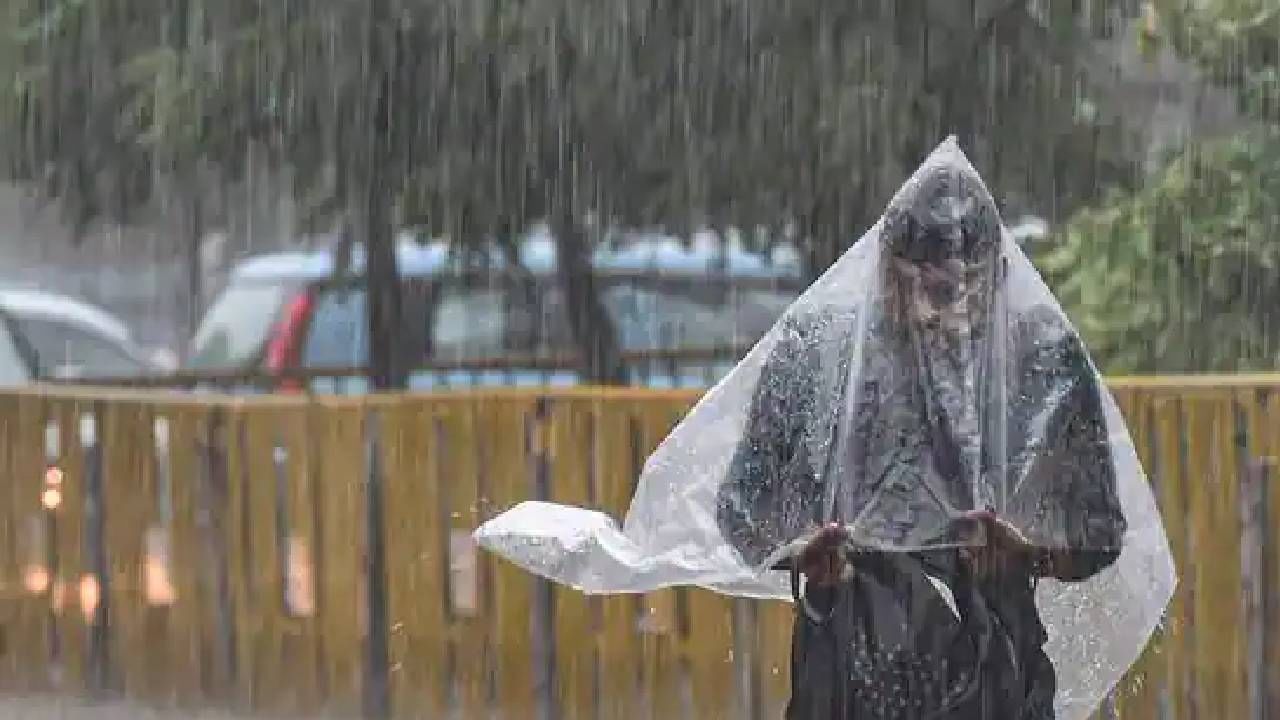 Rain Updates: मुंबई, कोकणासह पश्चिम महाराष्ट्रात आणखी मुसळधार; शुक्रवारी विश्रांती घेण्याची शक्यता; चंद्रपूर, गडचिरोलीत हलक्या सरी